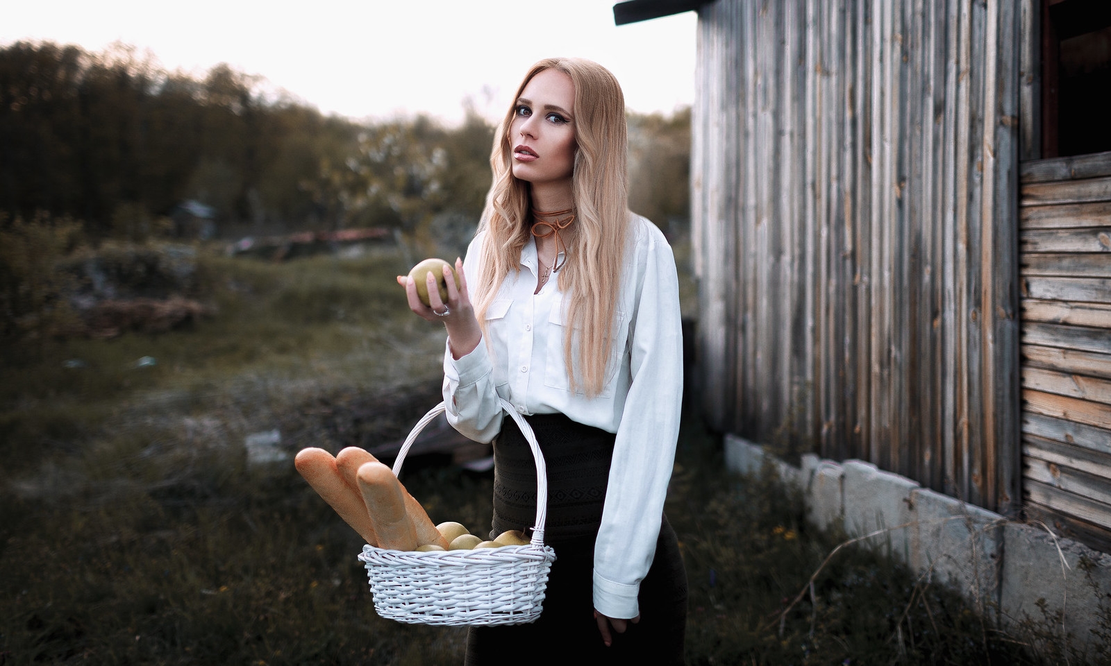 34296965015 1c6b5832ed h